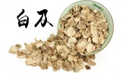 白及的產(chǎn)地是哪里？白及的用法、用量與禁忌