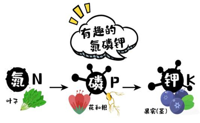 農(nóng)作物三大營(yíng)養(yǎng)元素是什么