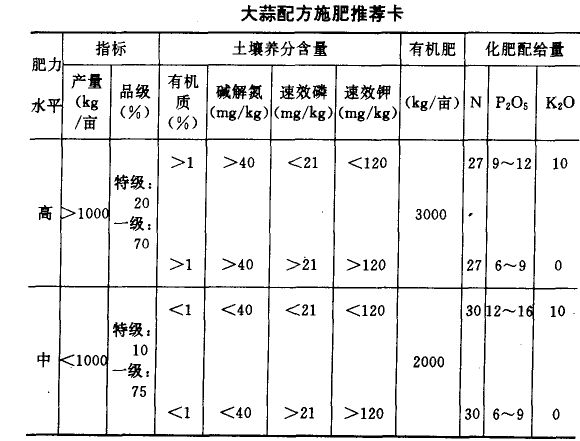 大蒜種植方法