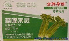 芹菜除草劑如何選擇 芹菜除草劑什么時(shí)間打好