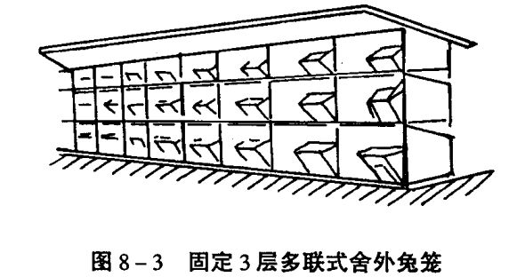 兔養(yǎng)殖技術