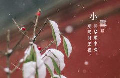 小雪節(jié)氣是什么意思，小雪節(jié)氣吃什么食品？