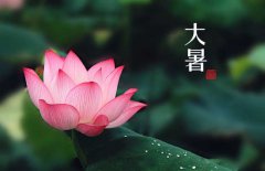 大暑是幾月幾日，大暑的節(jié)日民俗的哪些？