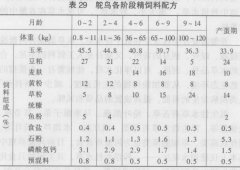 用草料養(yǎng)殖鴕鳥的方法