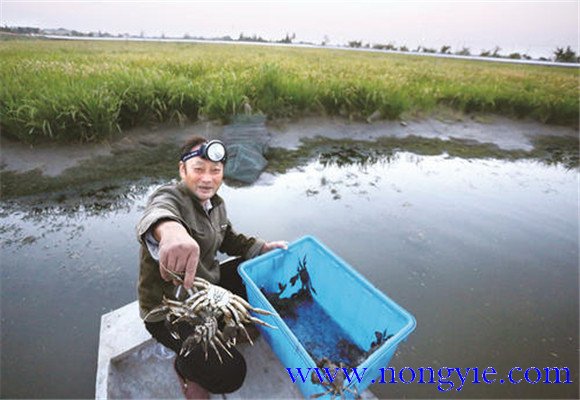 水源充足、水質(zhì)清新無污染