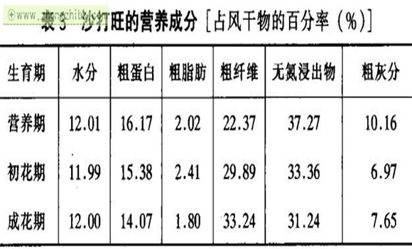 沙打旺的功效與作用