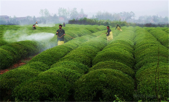 農(nóng)業(yè)種植技術