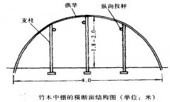 塑料中棚加外覆蓋能明顯使蔬菜早熟，效益高