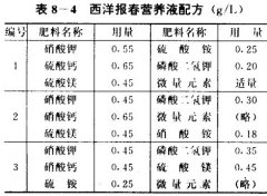 西洋報(bào)春無(wú)土栽培技術(shù)