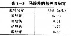 馬蹄蓮無(wú)土栽培技術(shù)要點(diǎn)