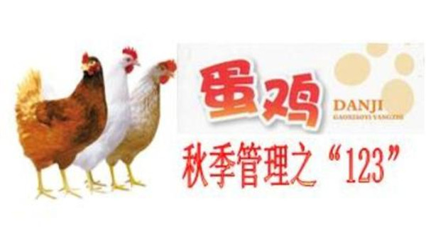 蛋雞秋季飼養(yǎng)管理