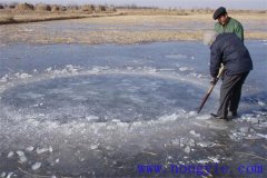 越冬魚(yú)池的水體環(huán)境是怎樣的？