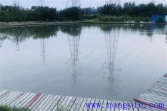 怎樣建設一個良性循環(huán)的生態(tài)養(yǎng)魚場