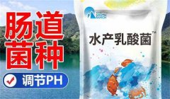 水產(chǎn)乳酸菌什么時間使用效果好 需注意哪些事項