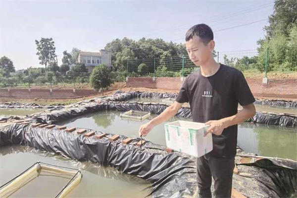 魚(yú)池的并塘方法