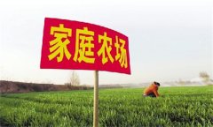 家庭農場要通過實現(xiàn)專業(yè)化生產(chǎn)提高生產(chǎn)效率