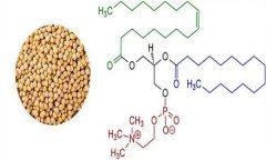 大豆異黃酮對人體有什么好處 什么食物含量多？